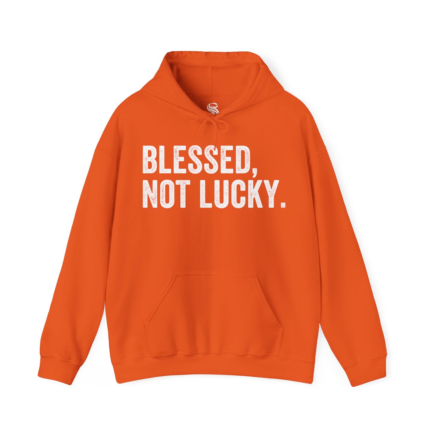 "Blessed Not Lucky" Unisex Heavy Blend Hoodie